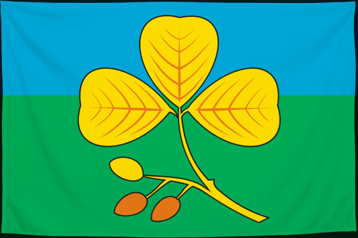 Флаг: Елховский район